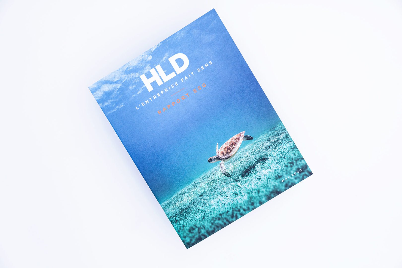 Un livre intitulé HLD : LENTREPRISE FAIT SENS RAPPORT RSE avec une image de couverture représentant une tortue de mer nageant au-dessus d'une herbe sous-marine sur fond d'océan bleu.