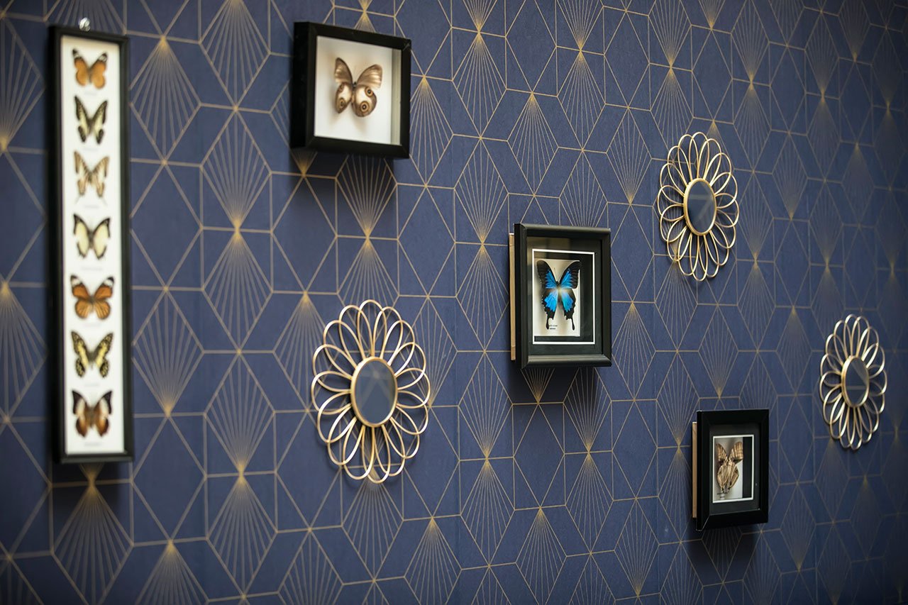 Des boîtes à ombres contenant des papillons montés et des ornements muraux décoratifs dorés sont disposés sur un papier peint bleu foncé à motifs géométriques. Les papillons sont présentés individuellement et en groupes dans des cadres noirs.