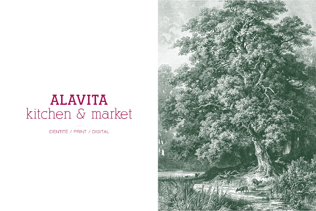Une image divisée avec ALAVITA kitchen & market en texte rose gras sur la gauche et une illustration détaillée de style vintage d'un grand arbre avec des animaux et de l'herbe sur la droite.
