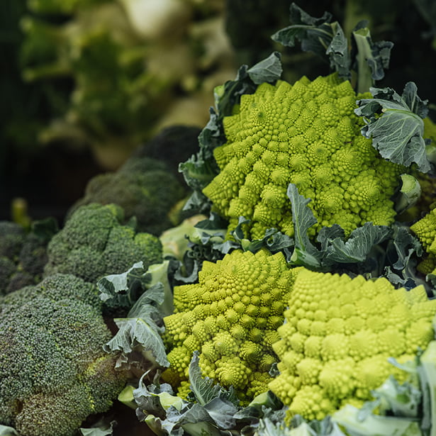 Des brocolis Romanesco d'un vert éclatant avec un motif fractal sont présentés parmi des têtes de brocolis. Les formes épineuses et spiralées du Romanesco se distinguent par leurs dessins géométriques complexes et leurs couleurs vives.