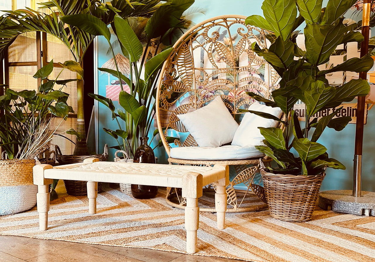 Un coin salon confortable avec un fauteuil en osier, des coussins blancs, un banc en bois clair et plusieurs grandes plantes vertes en pot, le tout posé sur un tapis à motifs beige et blanc contre un mur bleu.