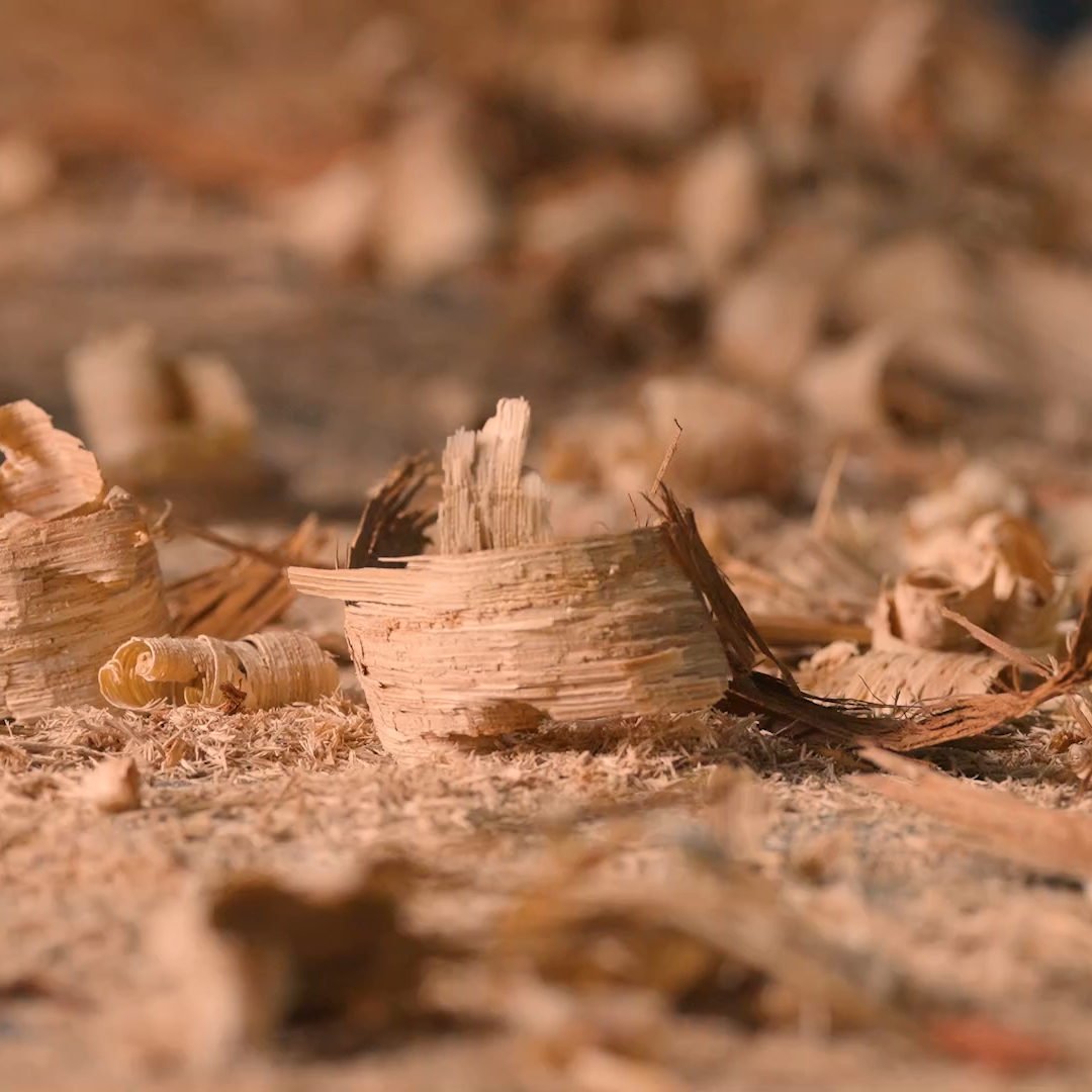 Gros plan sur des copeaux de bois éparpillés sur une surface, avec des morceaux frisés et texturés dans le champ et un arrière-plan flou, suggérant un environnement de travail du bois ou de menuiserie.