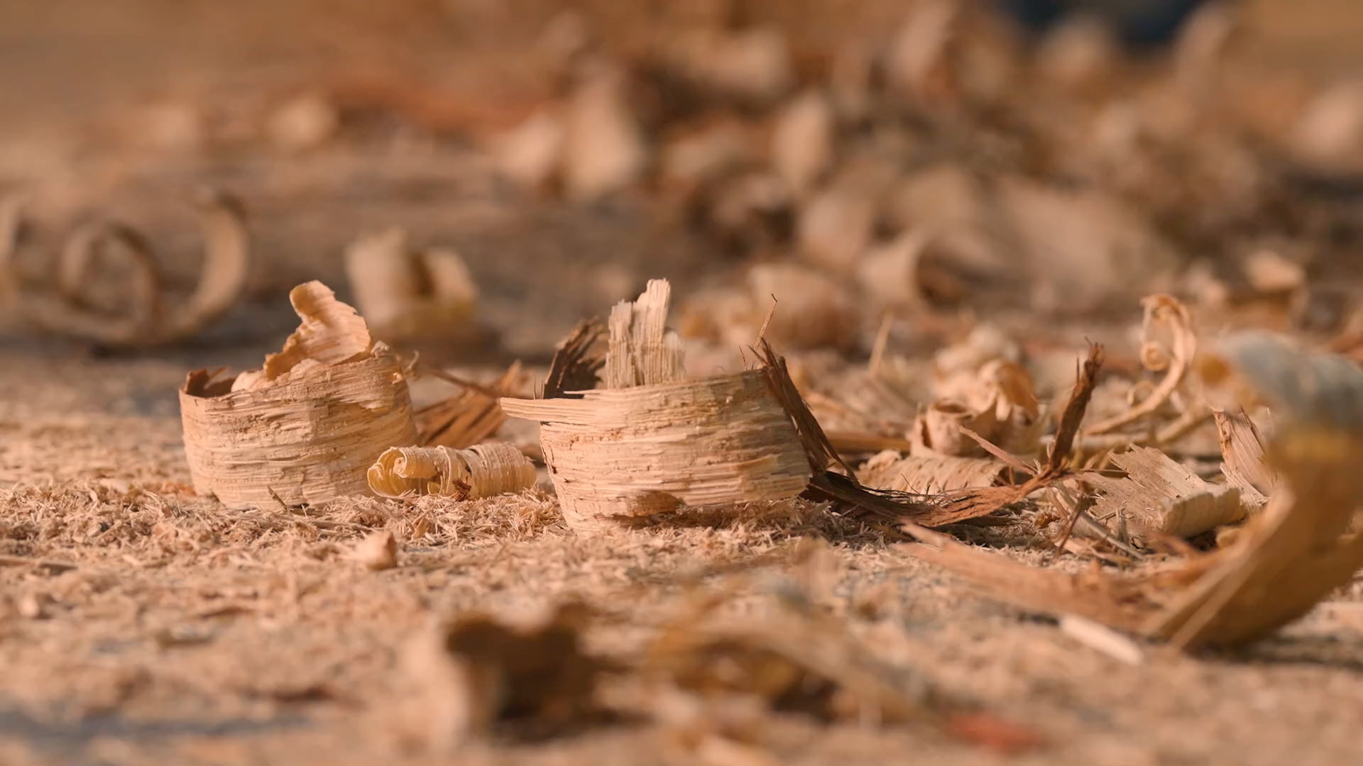 Gros plan sur des copeaux de bois et de la sciure de bois éparpillés sur une surface, avec des morceaux de bois enroulés sur un fond flou.