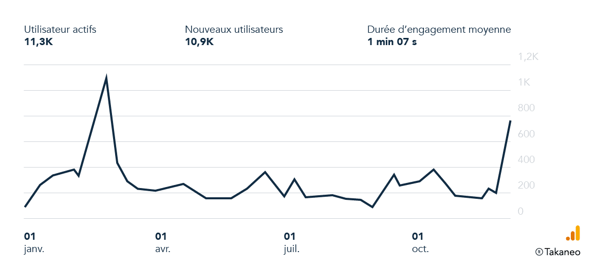 Evolution of Takaneo Website Traffic in 2024