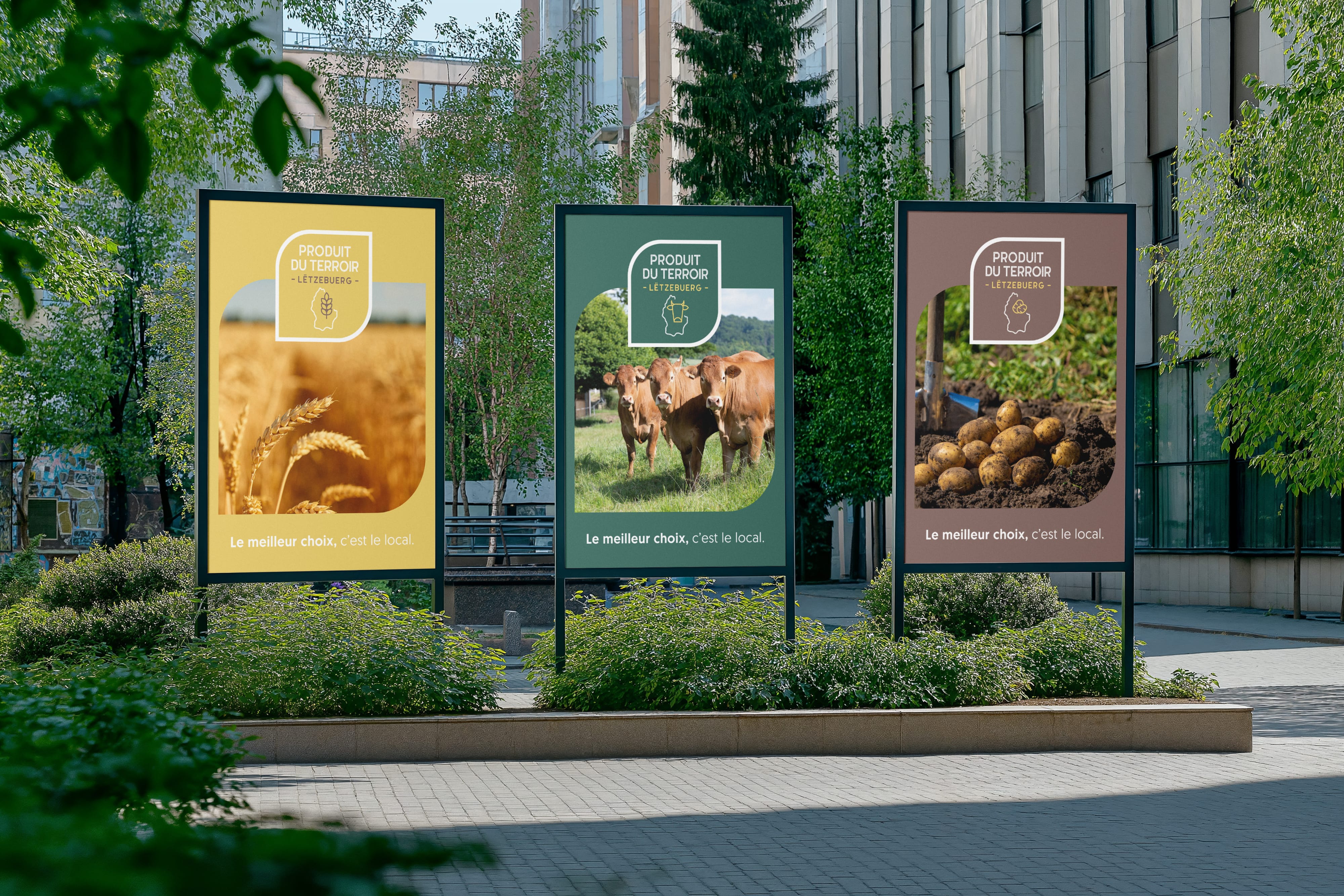 Trois panneaux publicitaires extérieurs dans une ville affichent des images de blé, de vaches et de pommes de terre avec un texte en français promouvant les produits locaux. Des arbres et des bâtiments entourent la zone.
