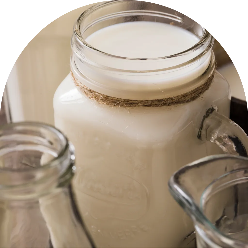Gros plan sur un pot en verre rempli de lait, décoré d'un nœud en ficelle autour du cou. Des bouteilles en verre vides sont placées au premier plan.