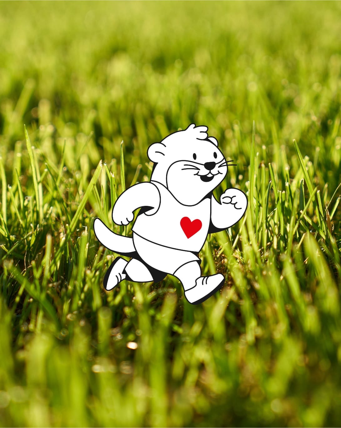 Illustration de la mascotte loutre au tracé noir et blanc, cœur rouge sur le maillot, incrustée dans une photo d'herbe ensoleillée.
